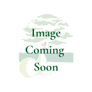 A sample product with quotes